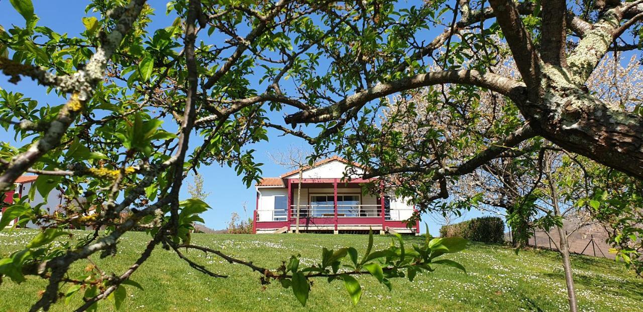 Domaine Chalets Larlapean Saint-Martin-d'Arrossa Bagian luar foto
